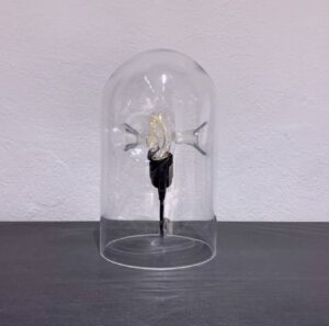 Screenshot 2024-05-14 alle 16.37.10